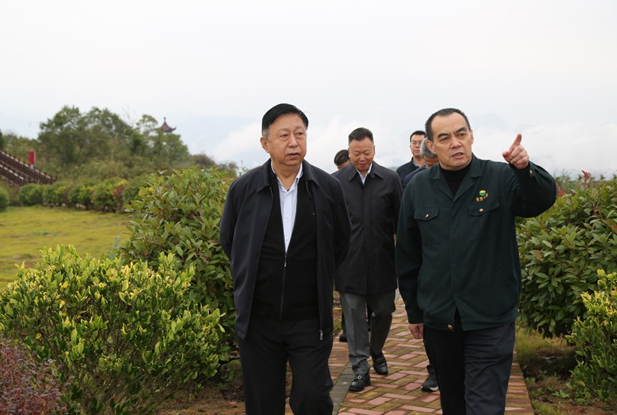 19-2021年10月，原國土資源部副部長汪民蒞臨公司調研。.jpg