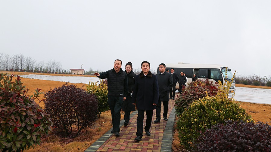 45-2020年12月，省高級人民法院黨組成員、副院長任建國蒞臨金徽股份調研知識產權司法保護工作。.jpg